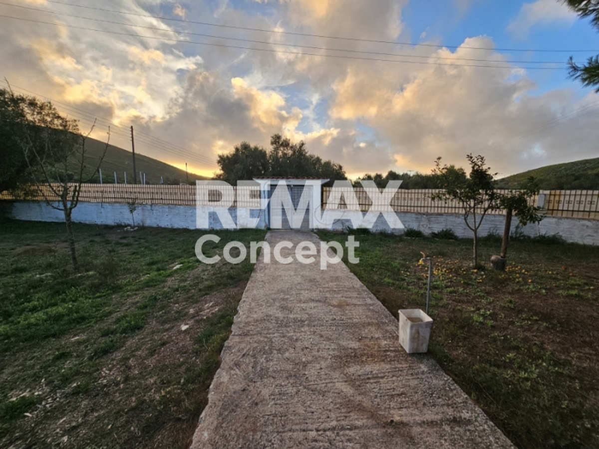 Property thumbnail 3