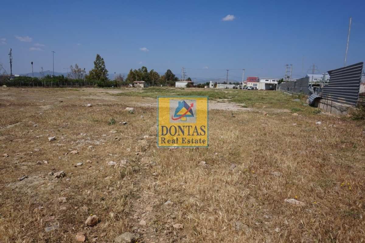 Property thumbnail 2