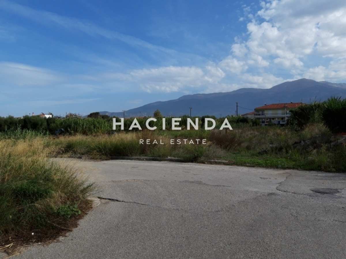 Property thumbnail 4