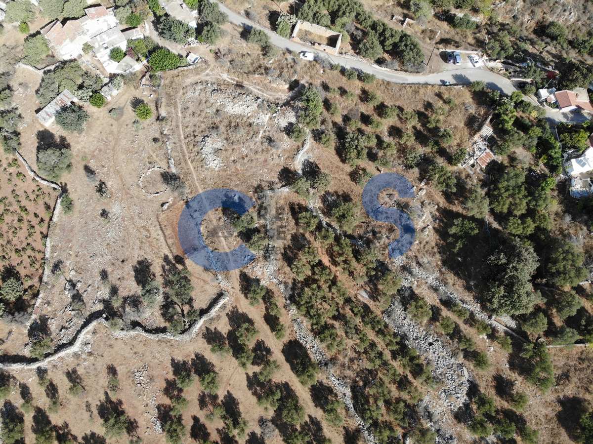 Property thumbnail 4