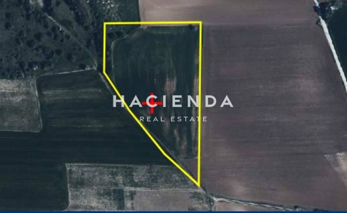 Property thumbnail 3
