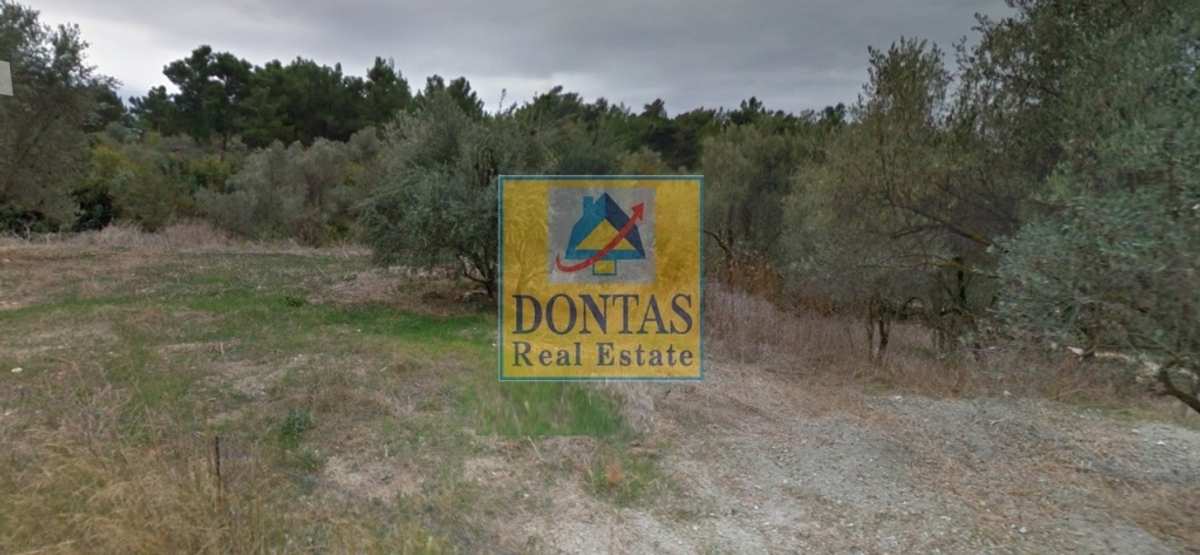 Property thumbnail 3
