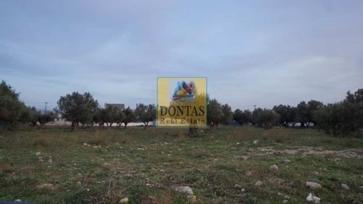Property thumbnail 3