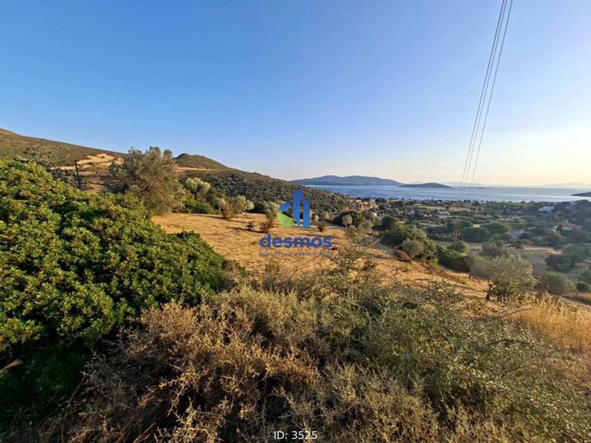 Property thumbnail 3