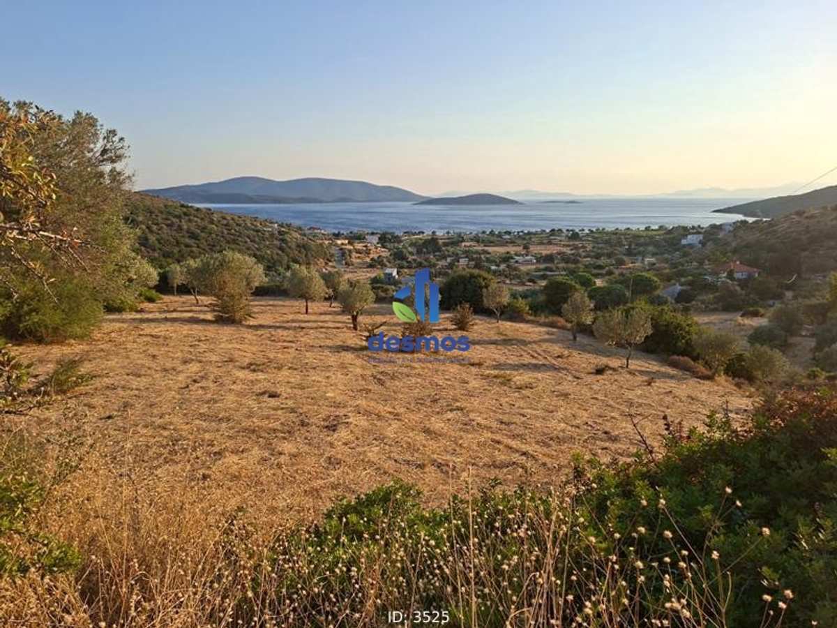 Property thumbnail 2