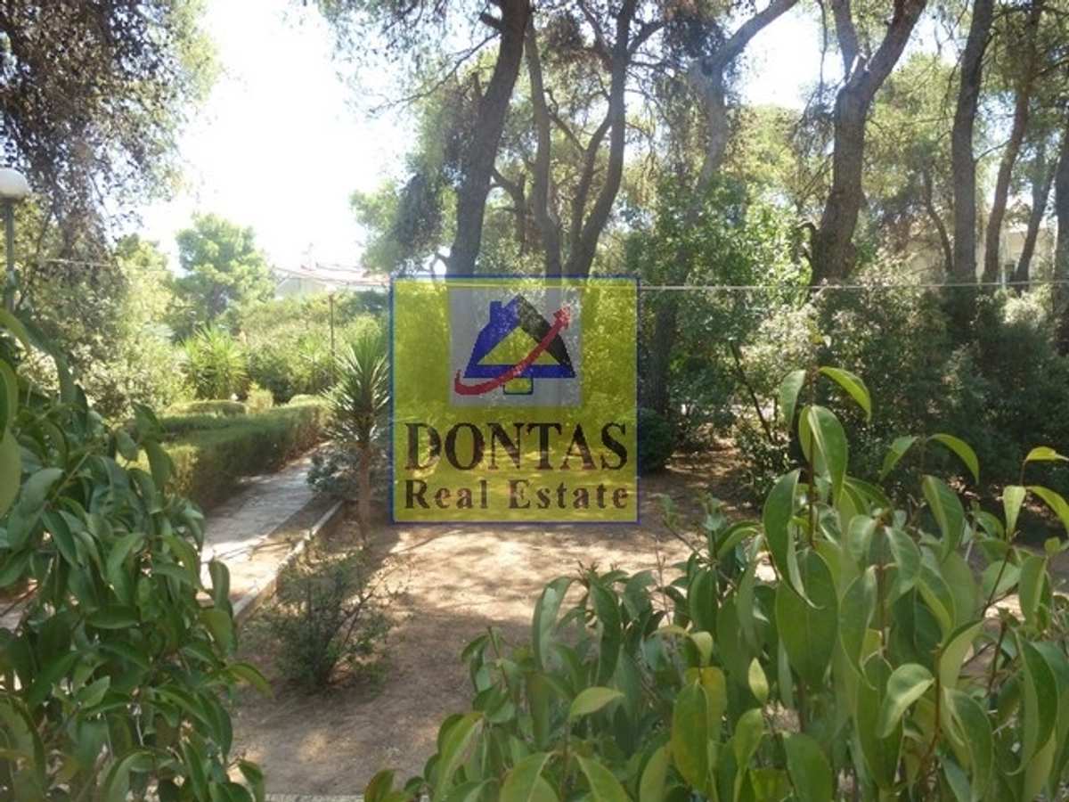 Property thumbnail 3