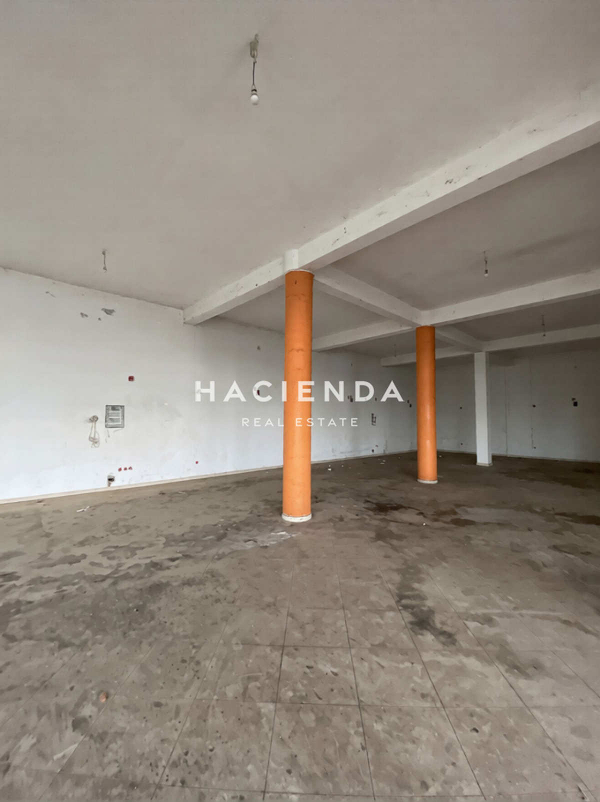 Property thumbnail 3