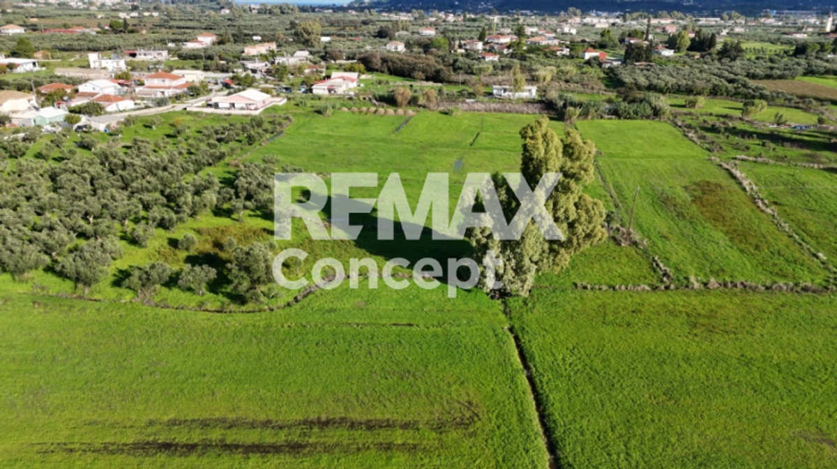 Property thumbnail 4