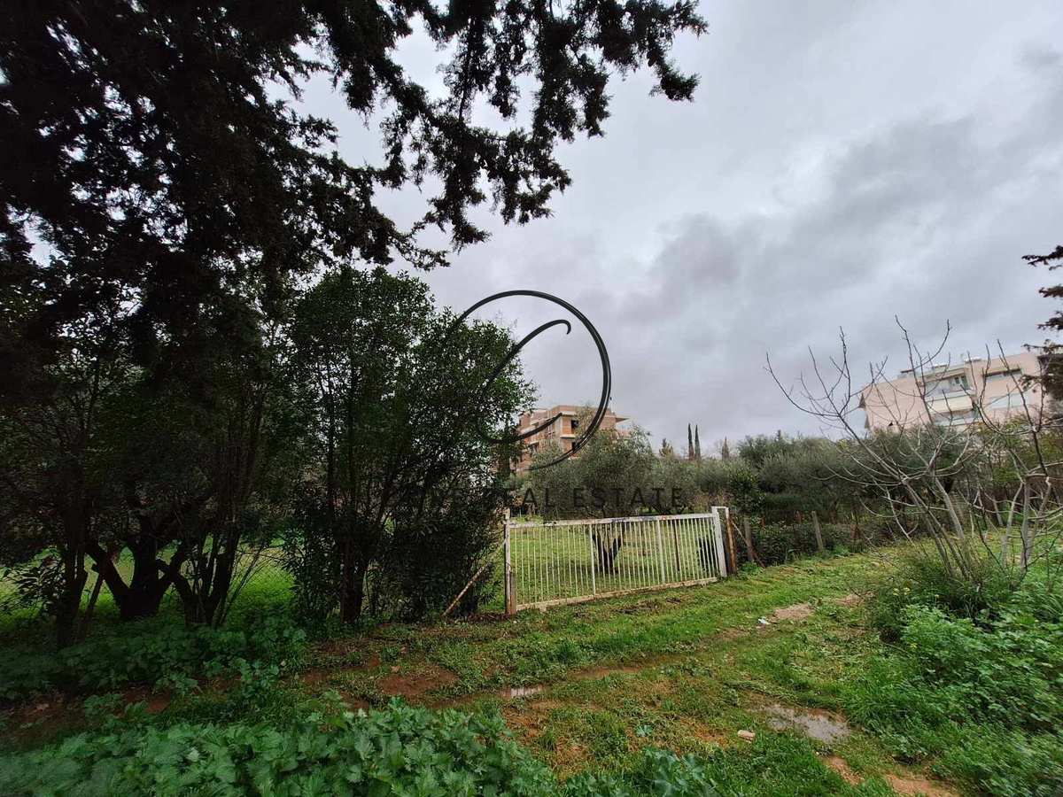 Property thumbnail 3