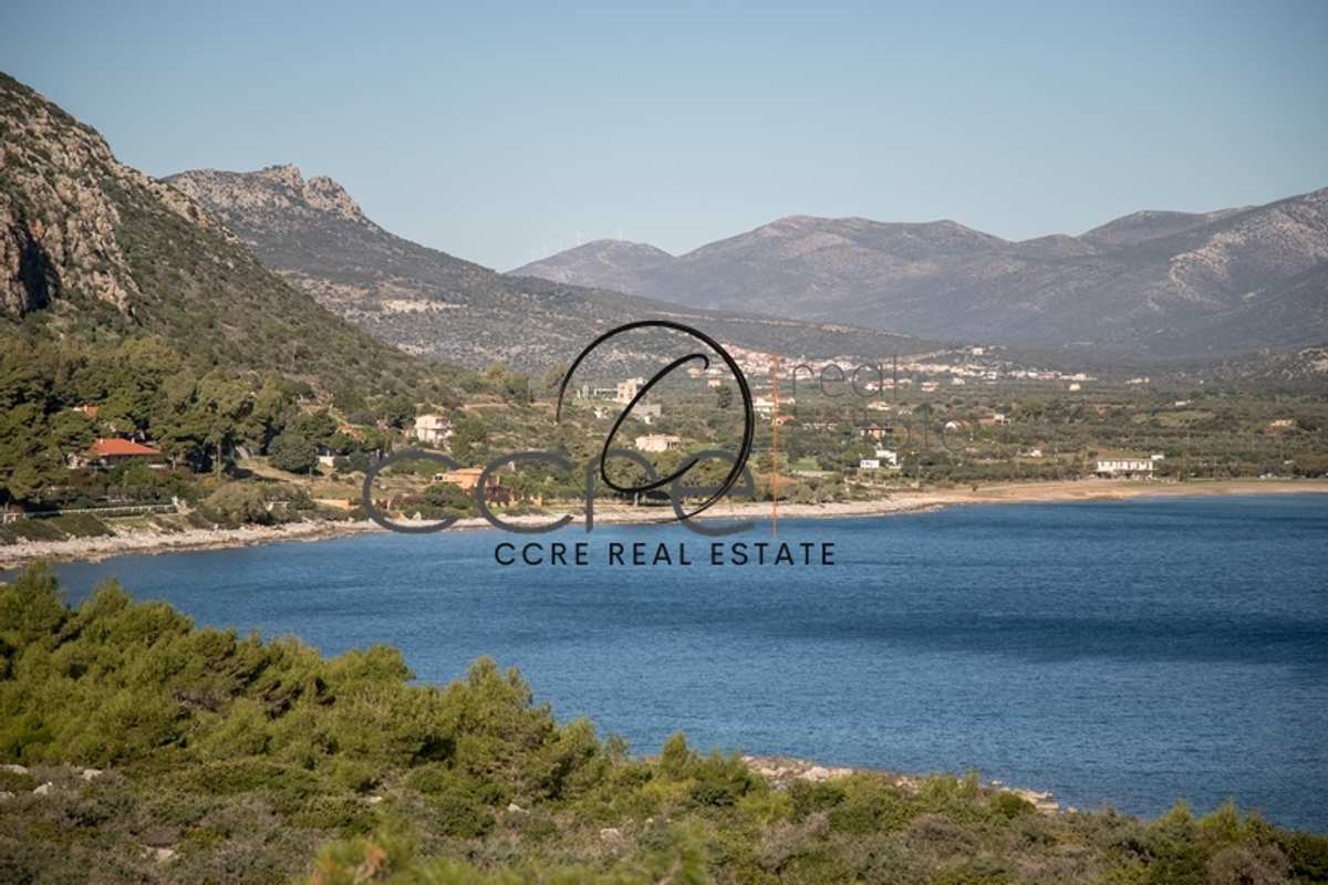 Property thumbnail 3