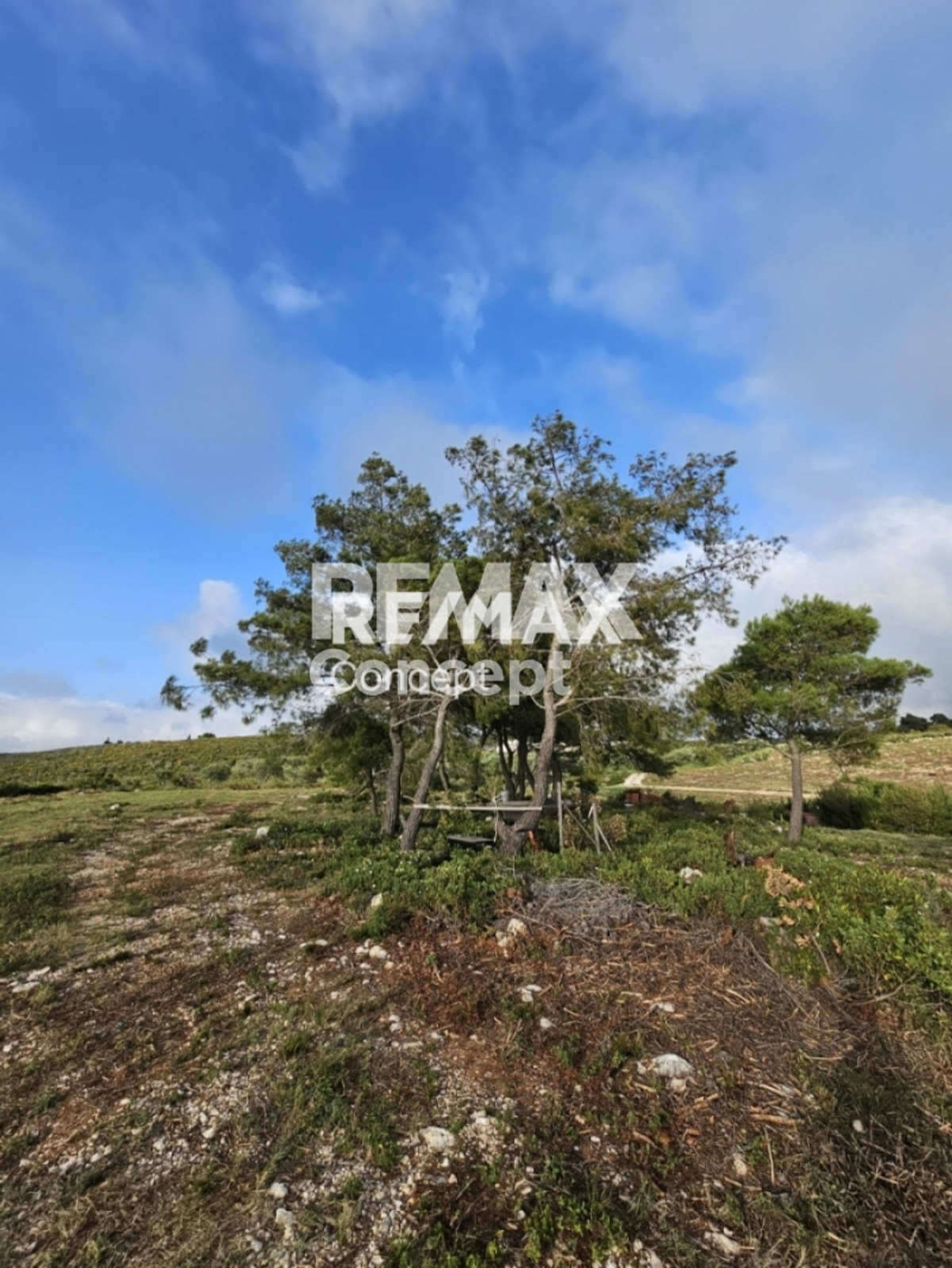 Property thumbnail 3