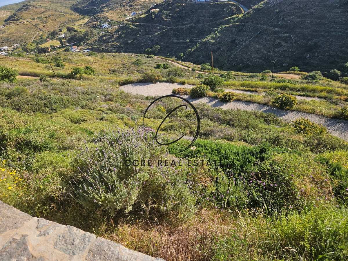 Property thumbnail 3