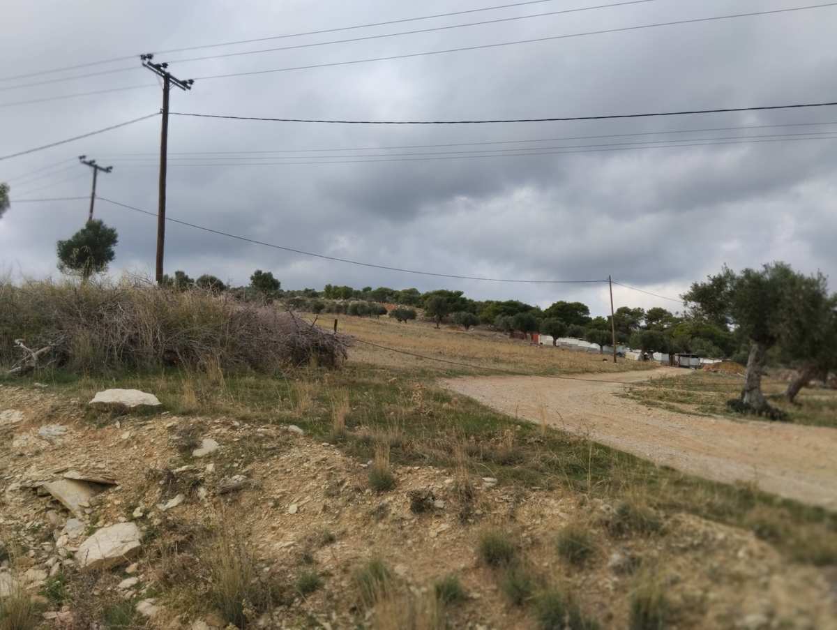 Property thumbnail 3