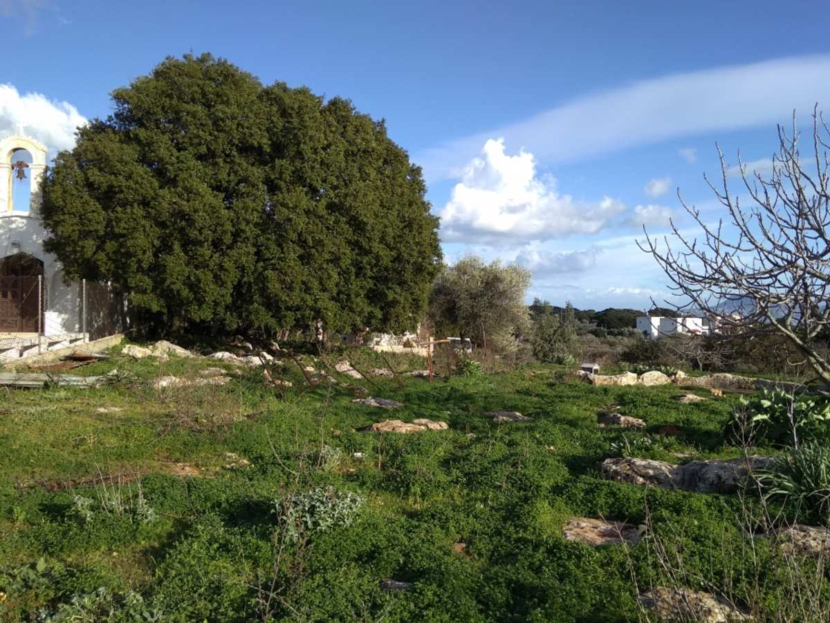 Property thumbnail 2