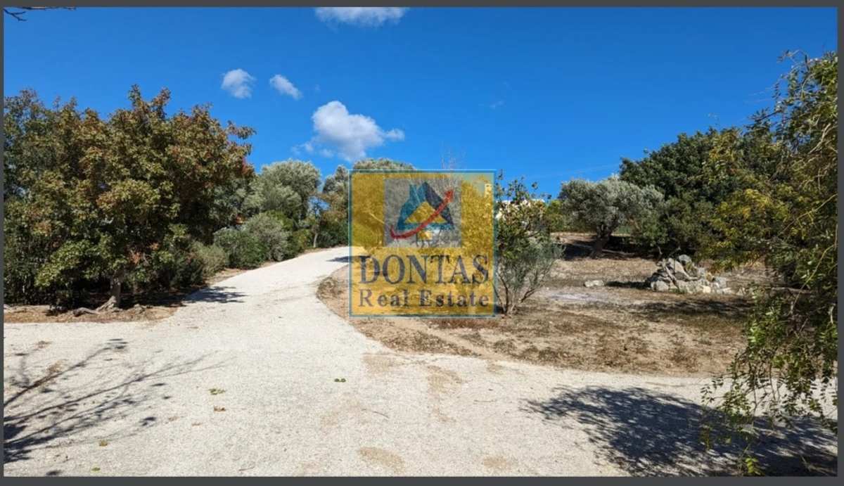 Property thumbnail 4