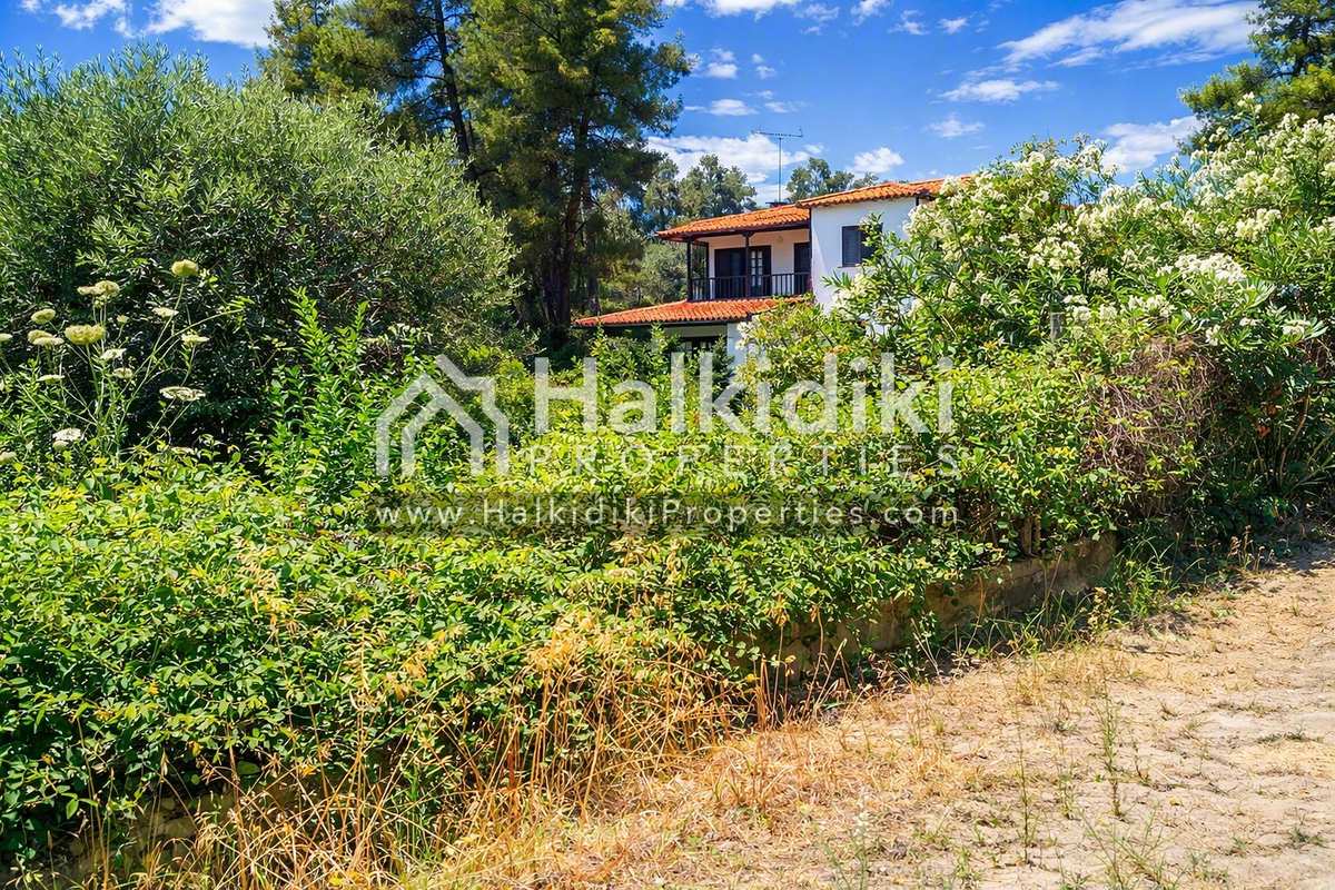 Property thumbnail 3