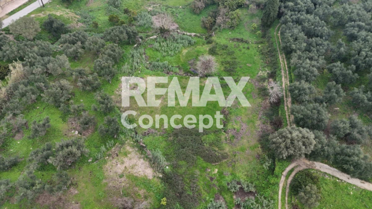 Property thumbnail 3