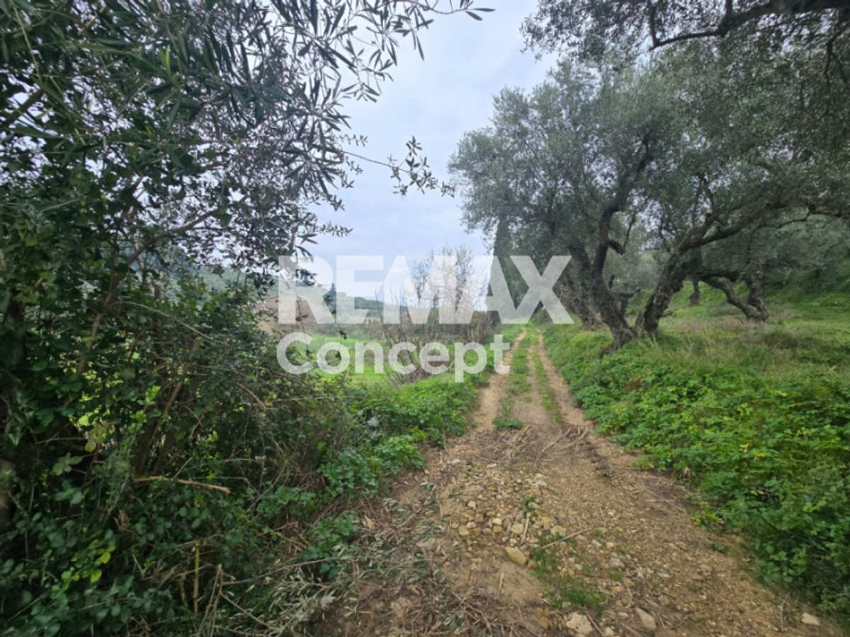 Property thumbnail 4