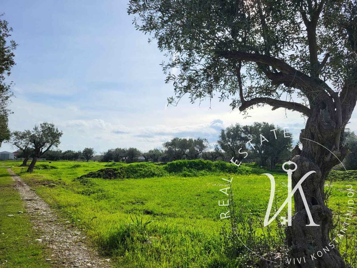 Property thumbnail 4