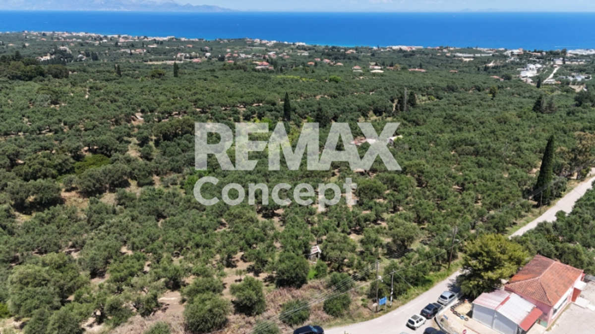 Property thumbnail 4