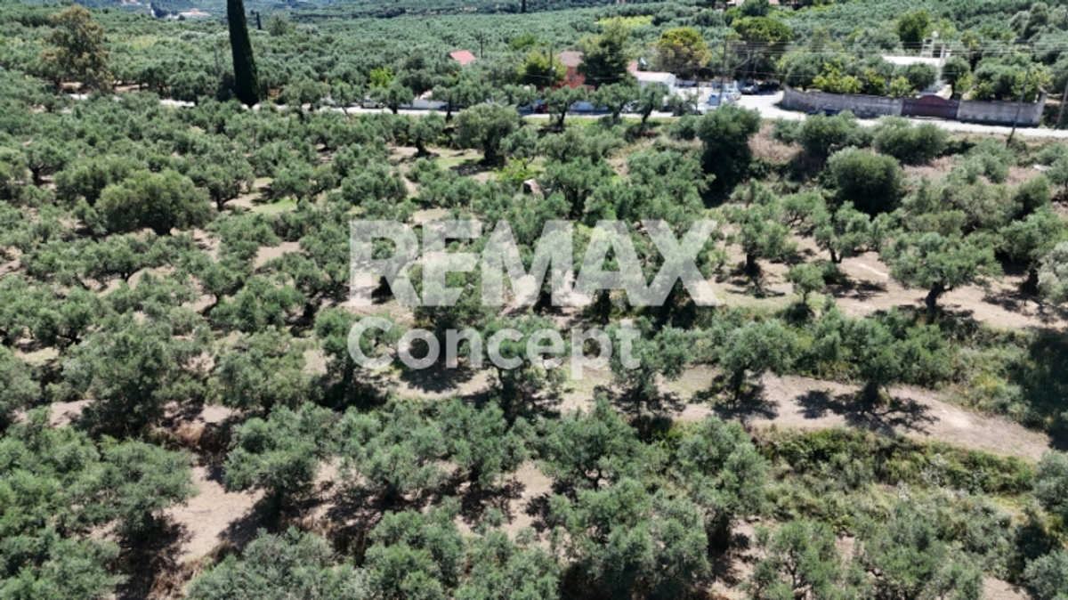 Property thumbnail 3