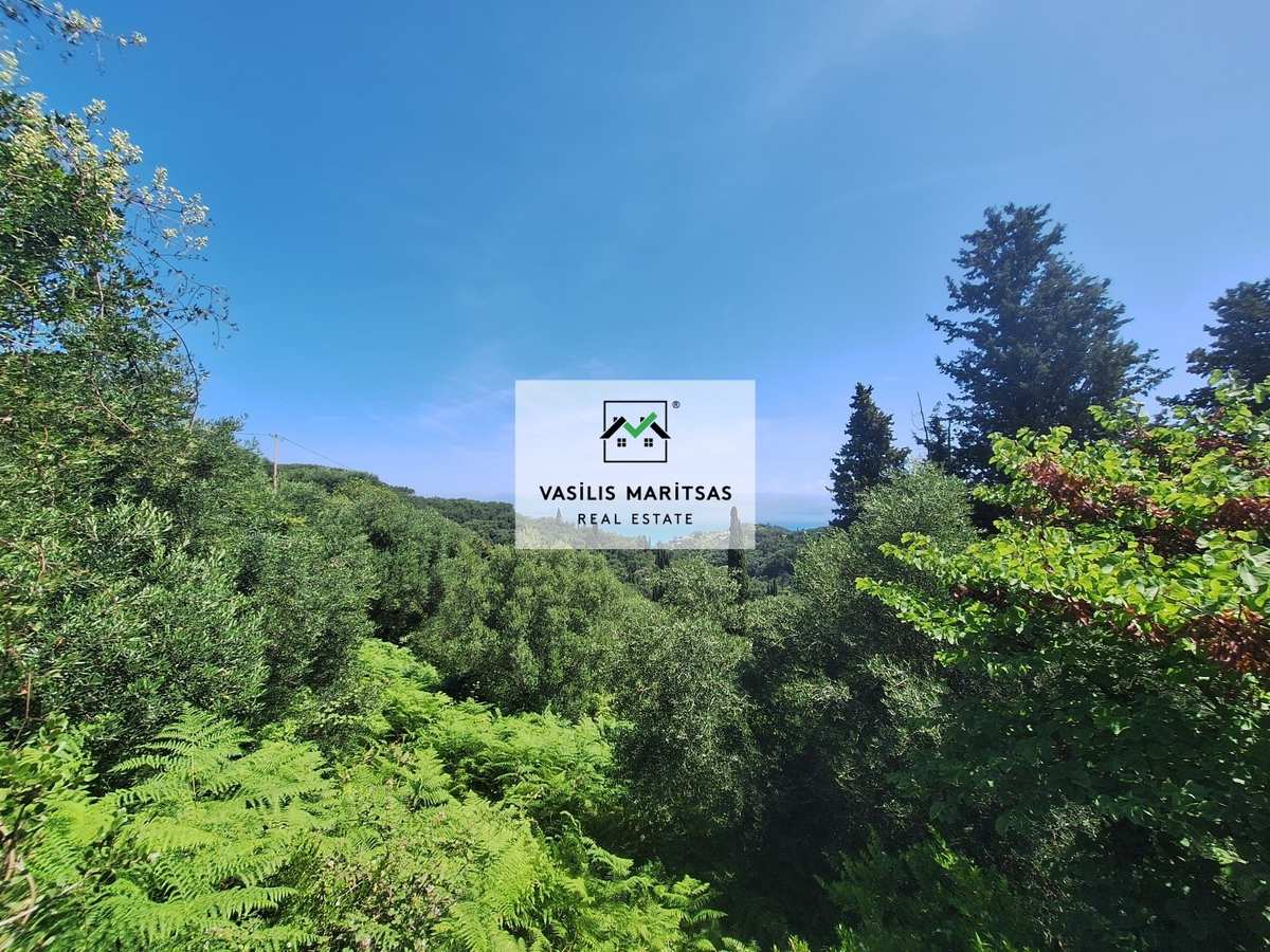 Property thumbnail 3