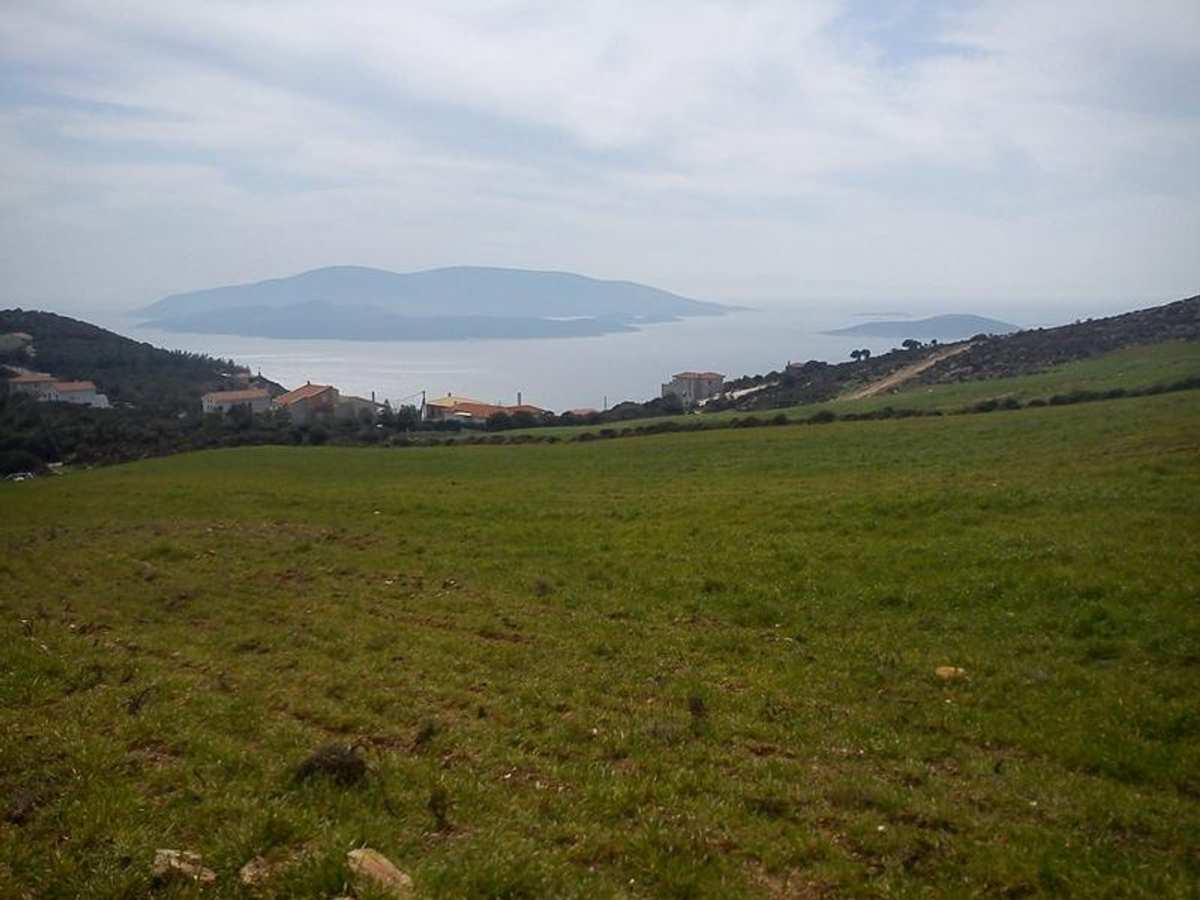 Property thumbnail 4