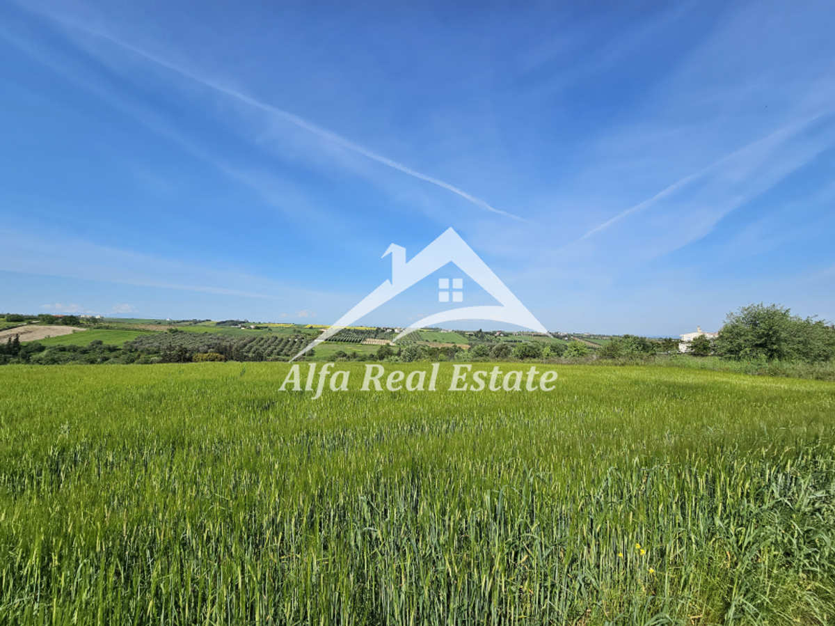 Property thumbnail 2