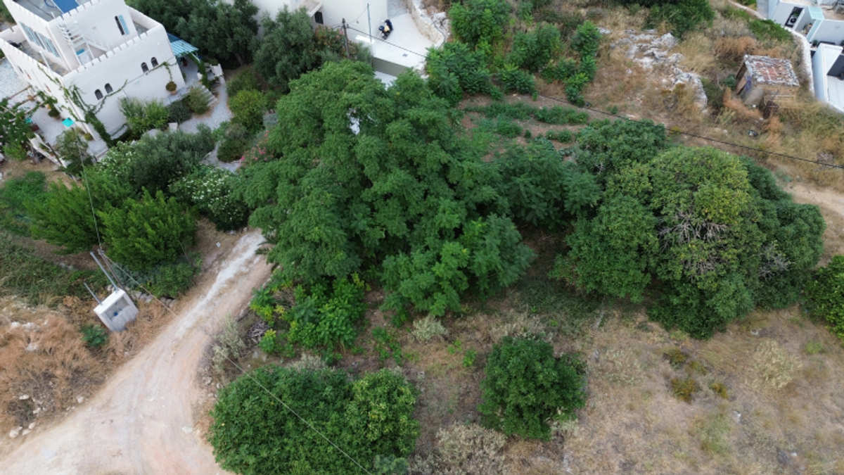Property thumbnail 4
