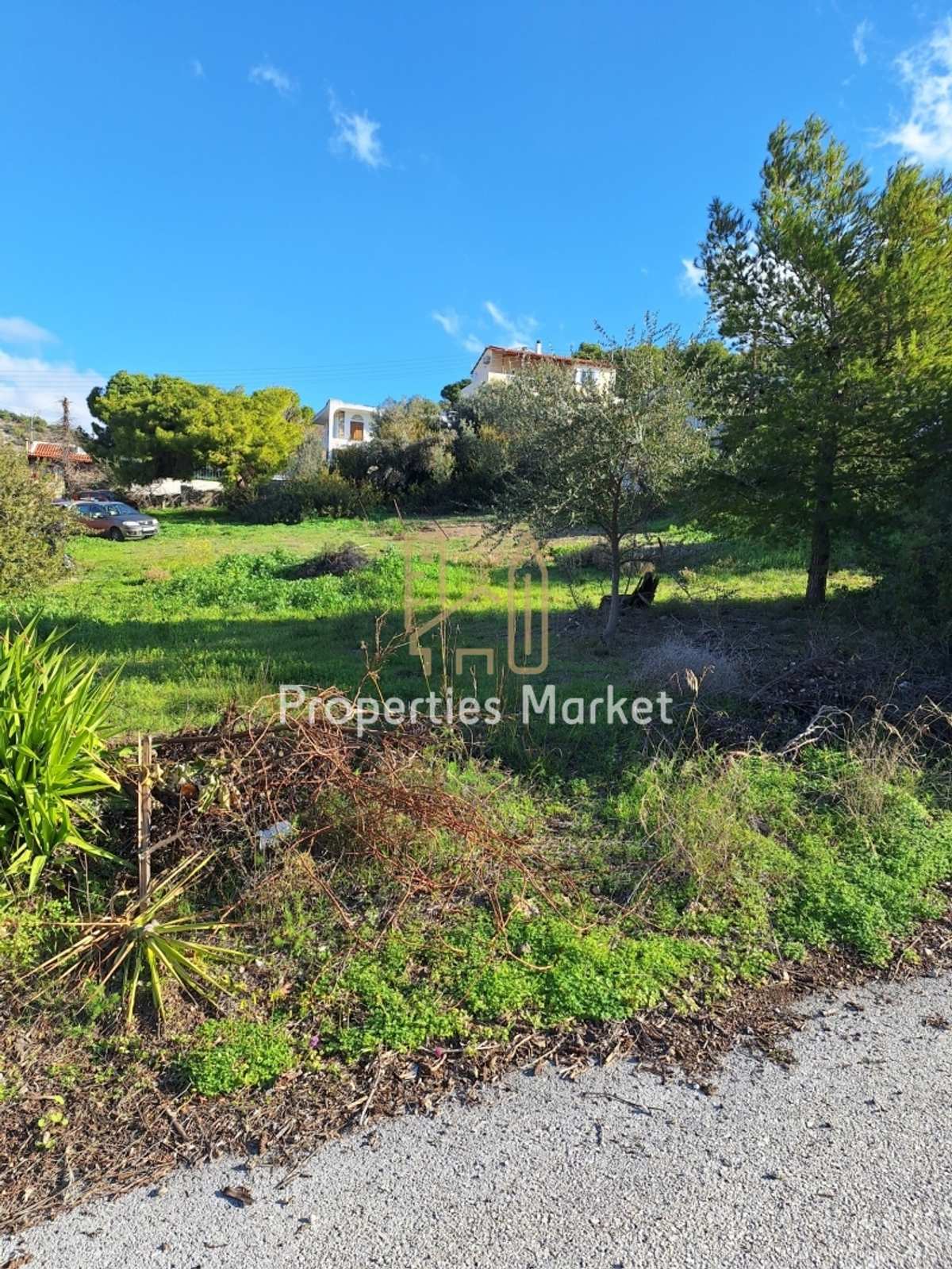 Property thumbnail 3