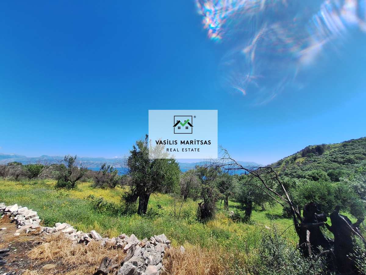 Property thumbnail 2