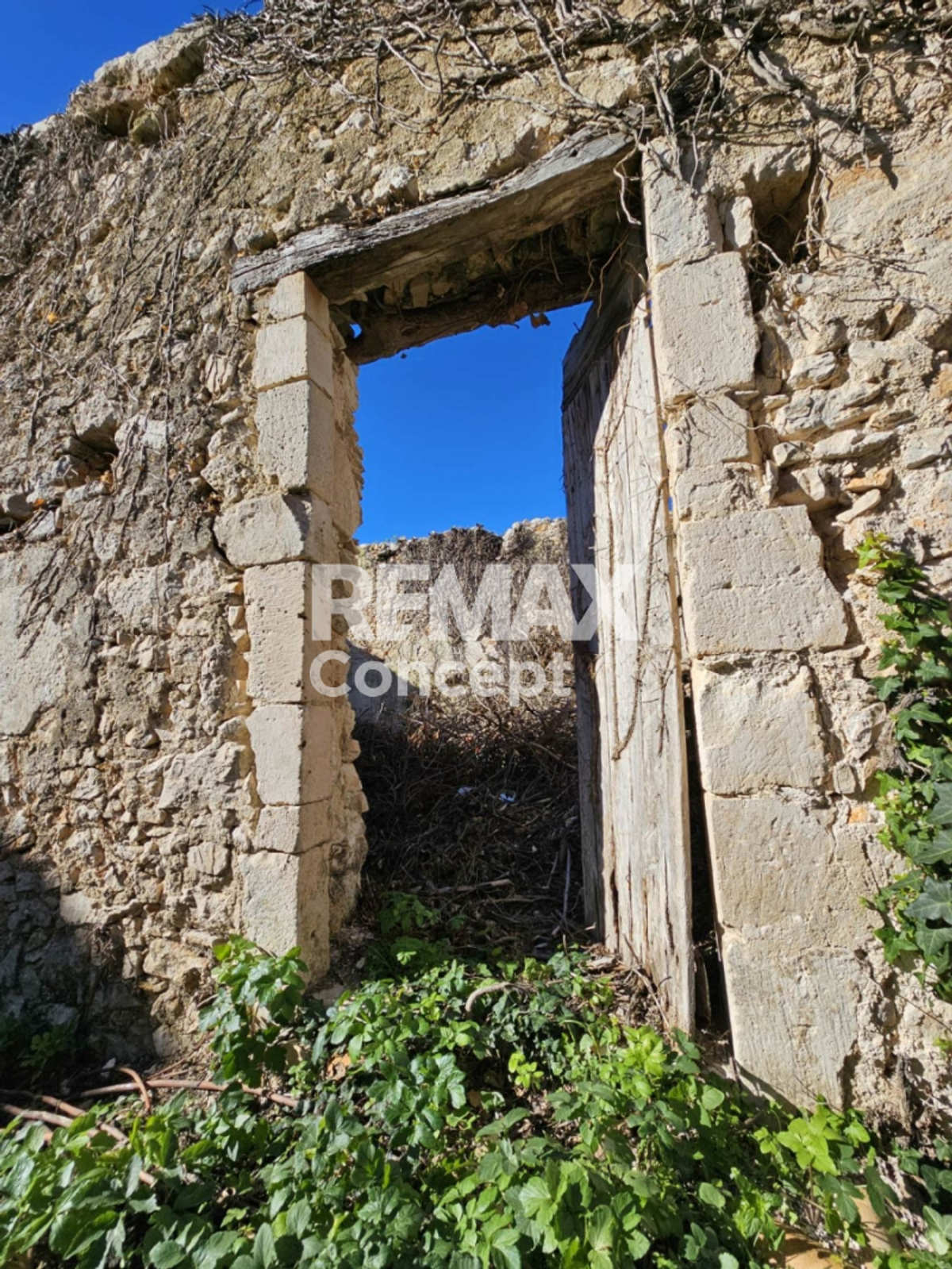 Property thumbnail 4