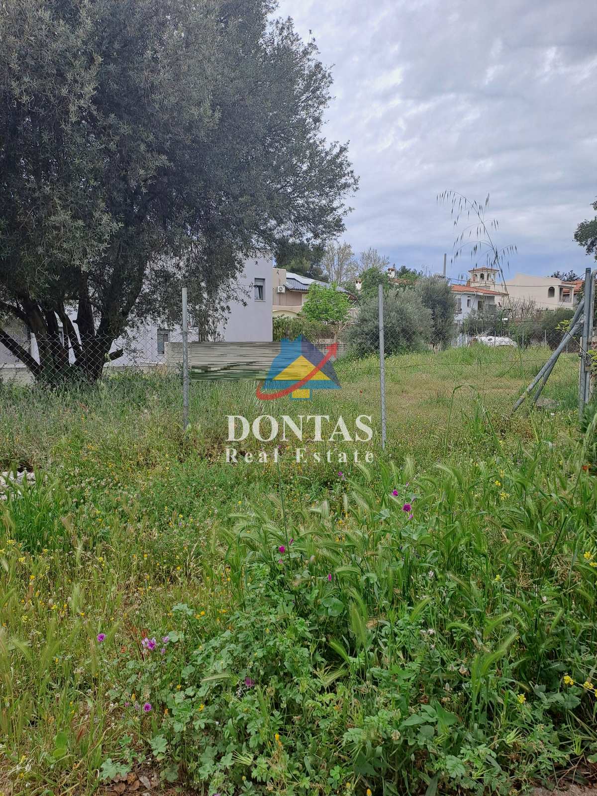 Property thumbnail 4