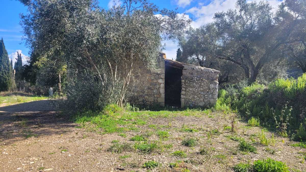 Property thumbnail 2