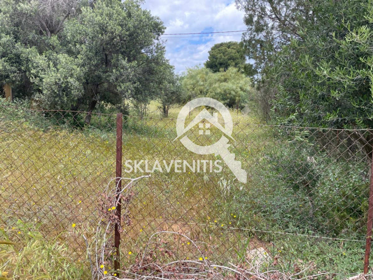 Property thumbnail 3