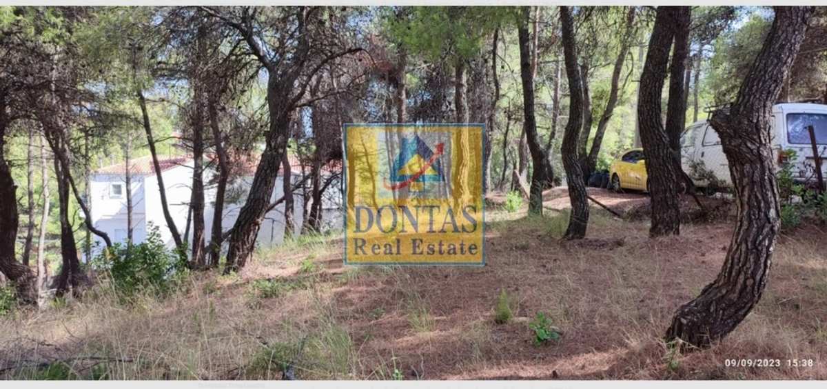 Property thumbnail 4