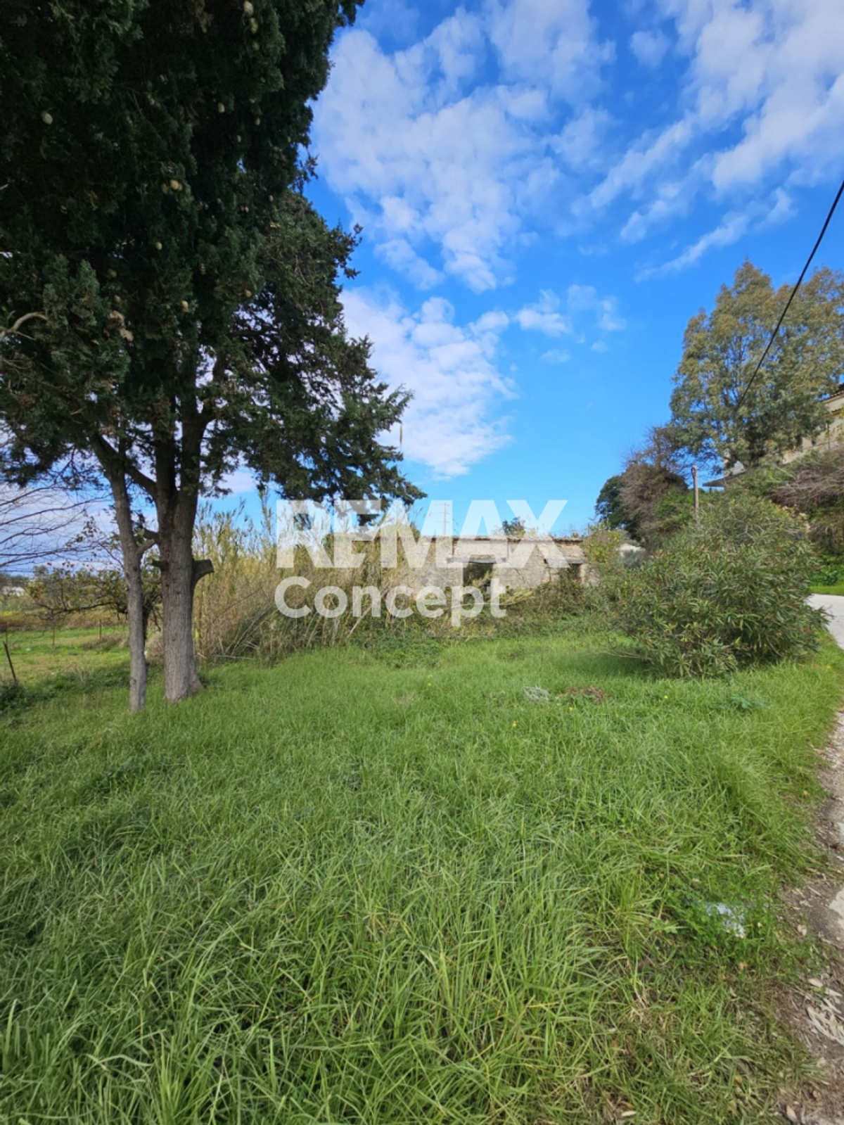 Property thumbnail 3