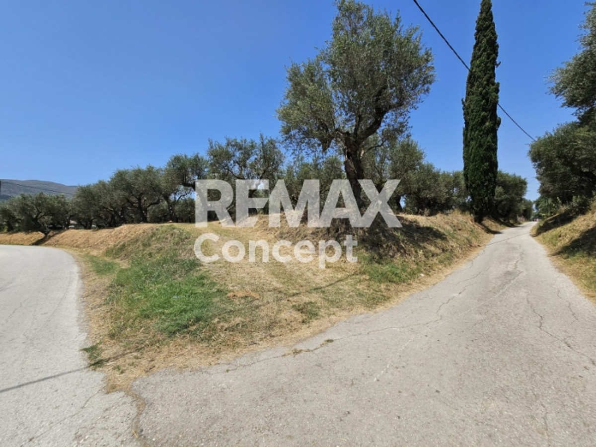 Property thumbnail 4