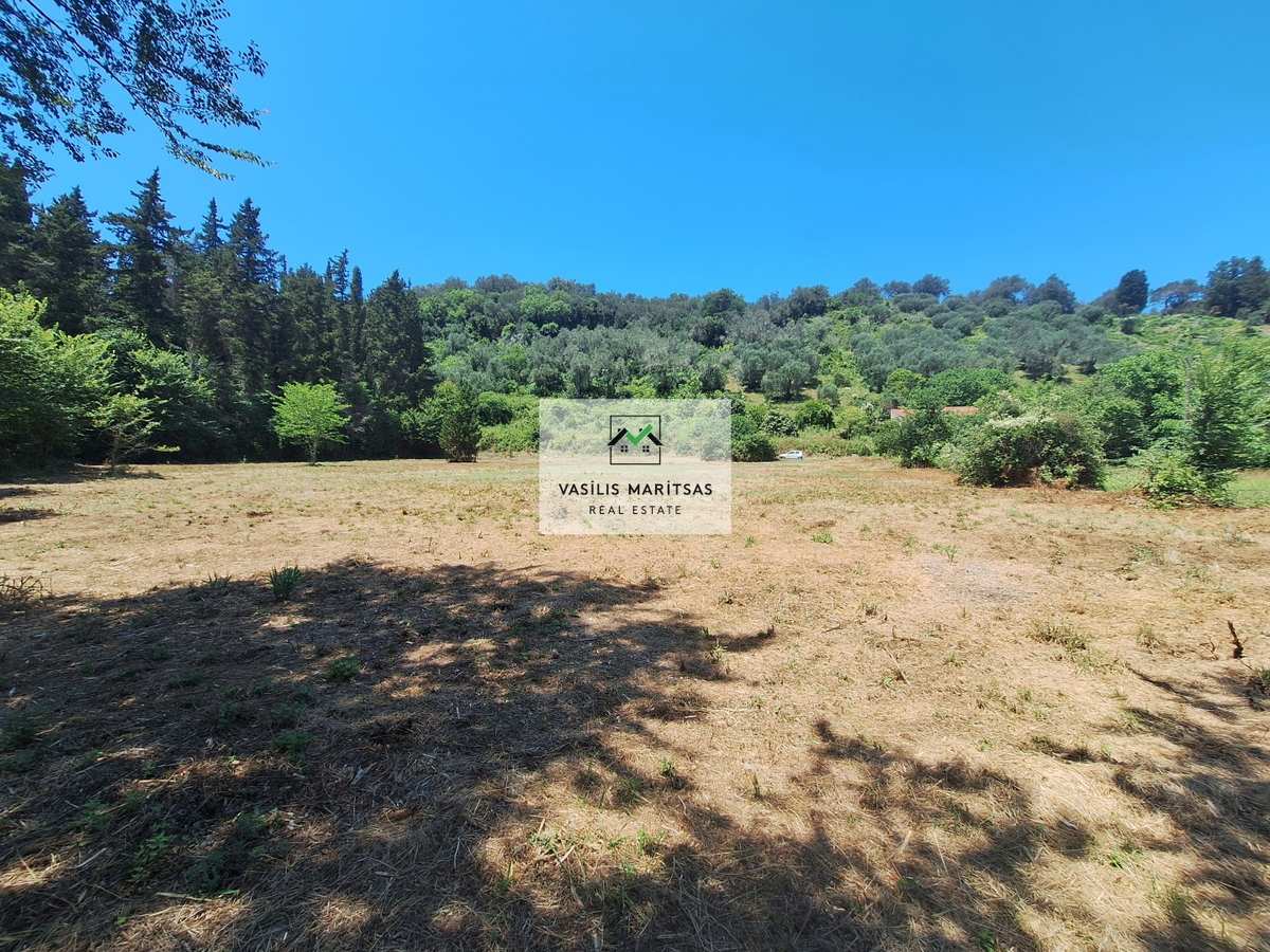 Property thumbnail 4