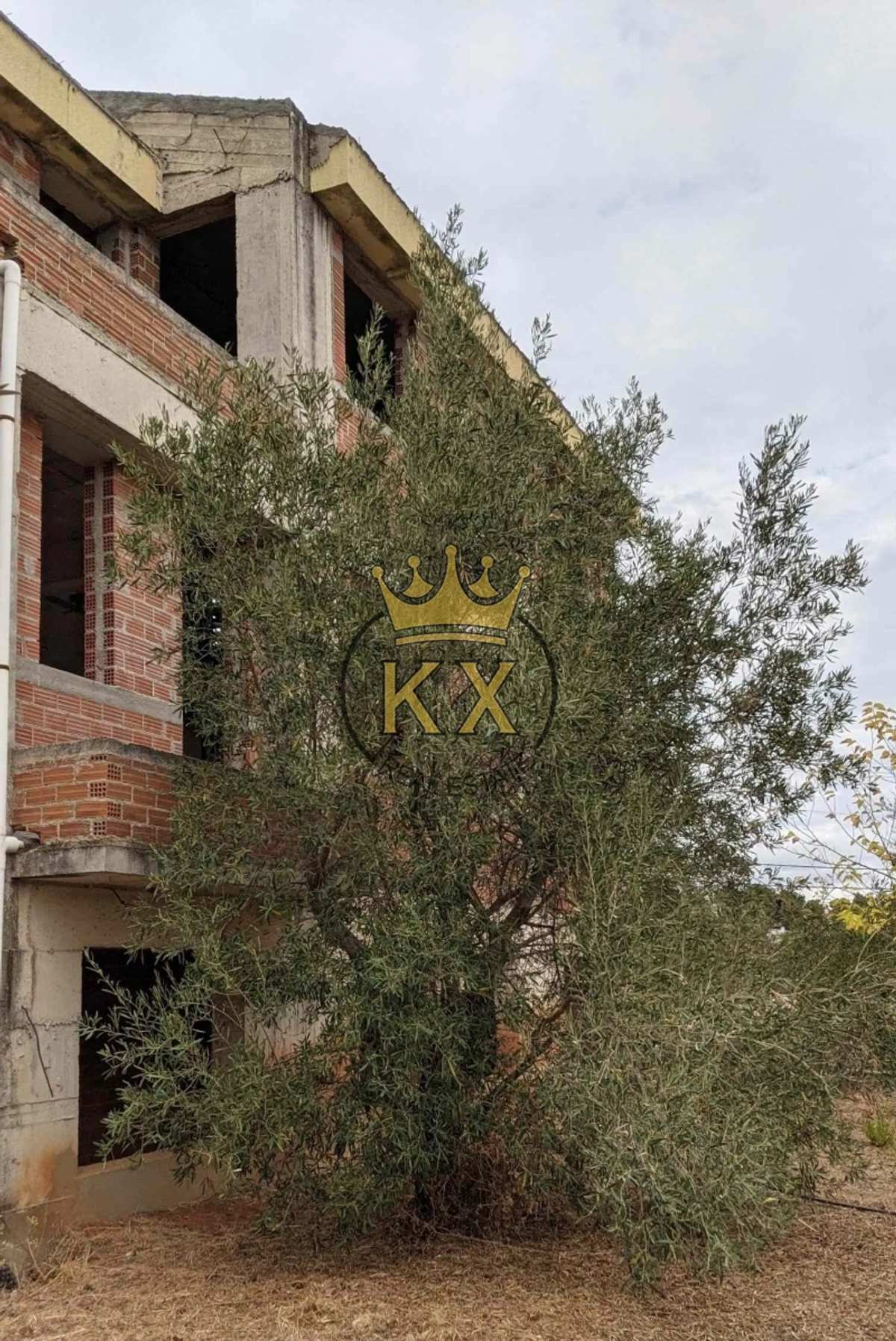 Property thumbnail 3