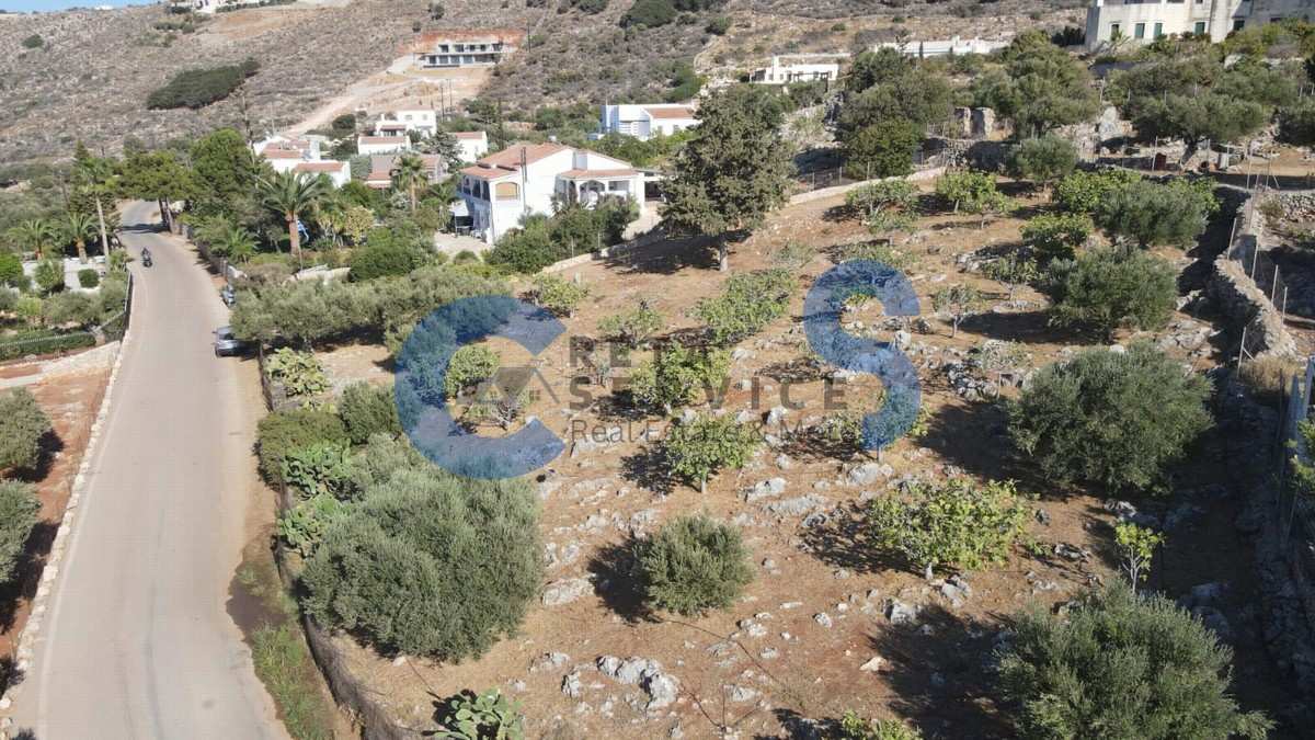 Property thumbnail 3