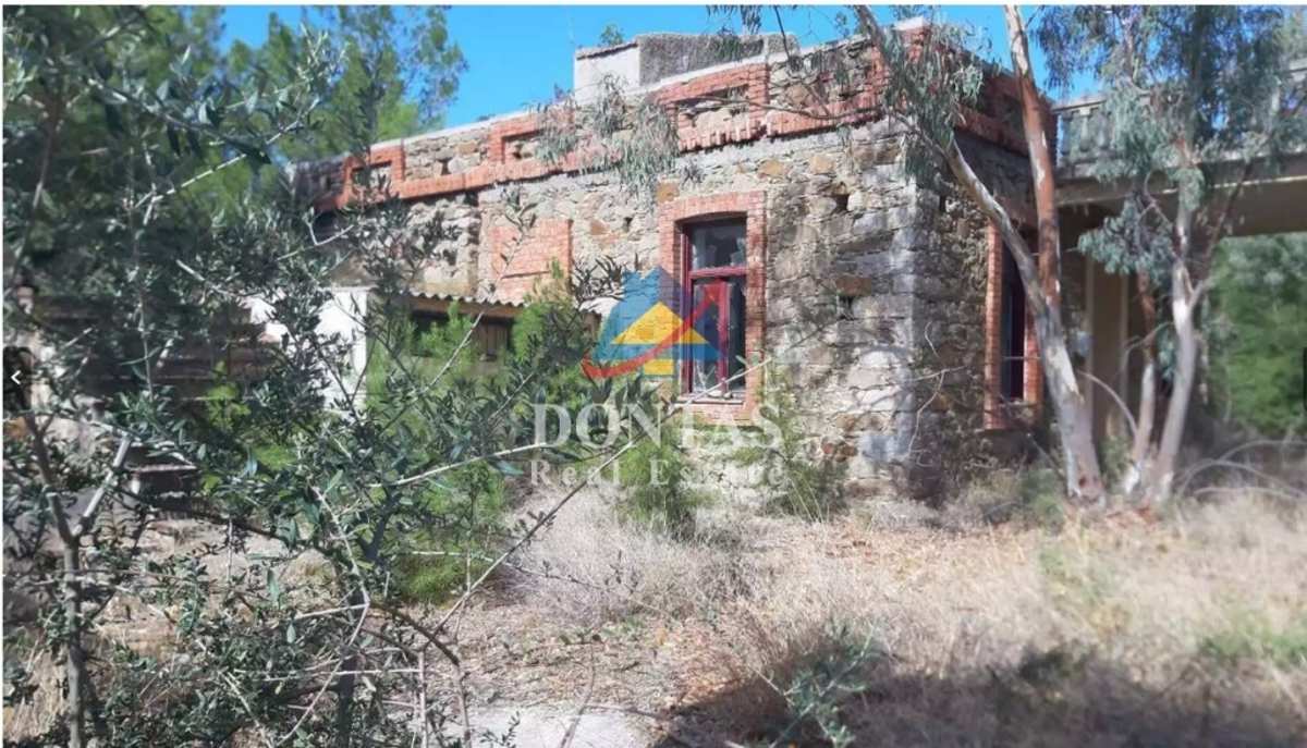 Property thumbnail 3