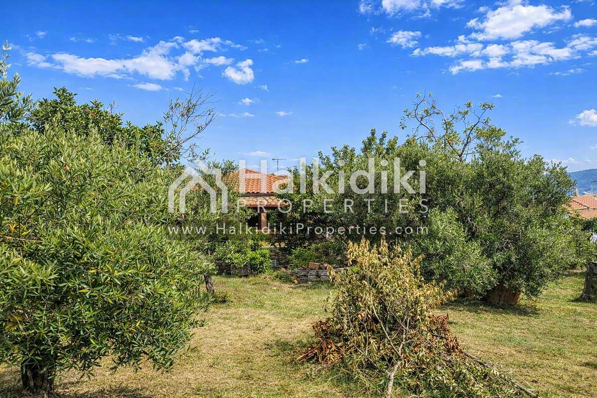 Property thumbnail 4