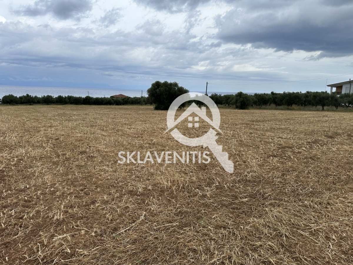 Property thumbnail 4
