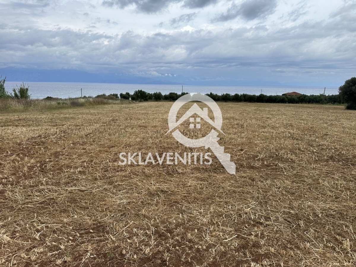 Property thumbnail 3