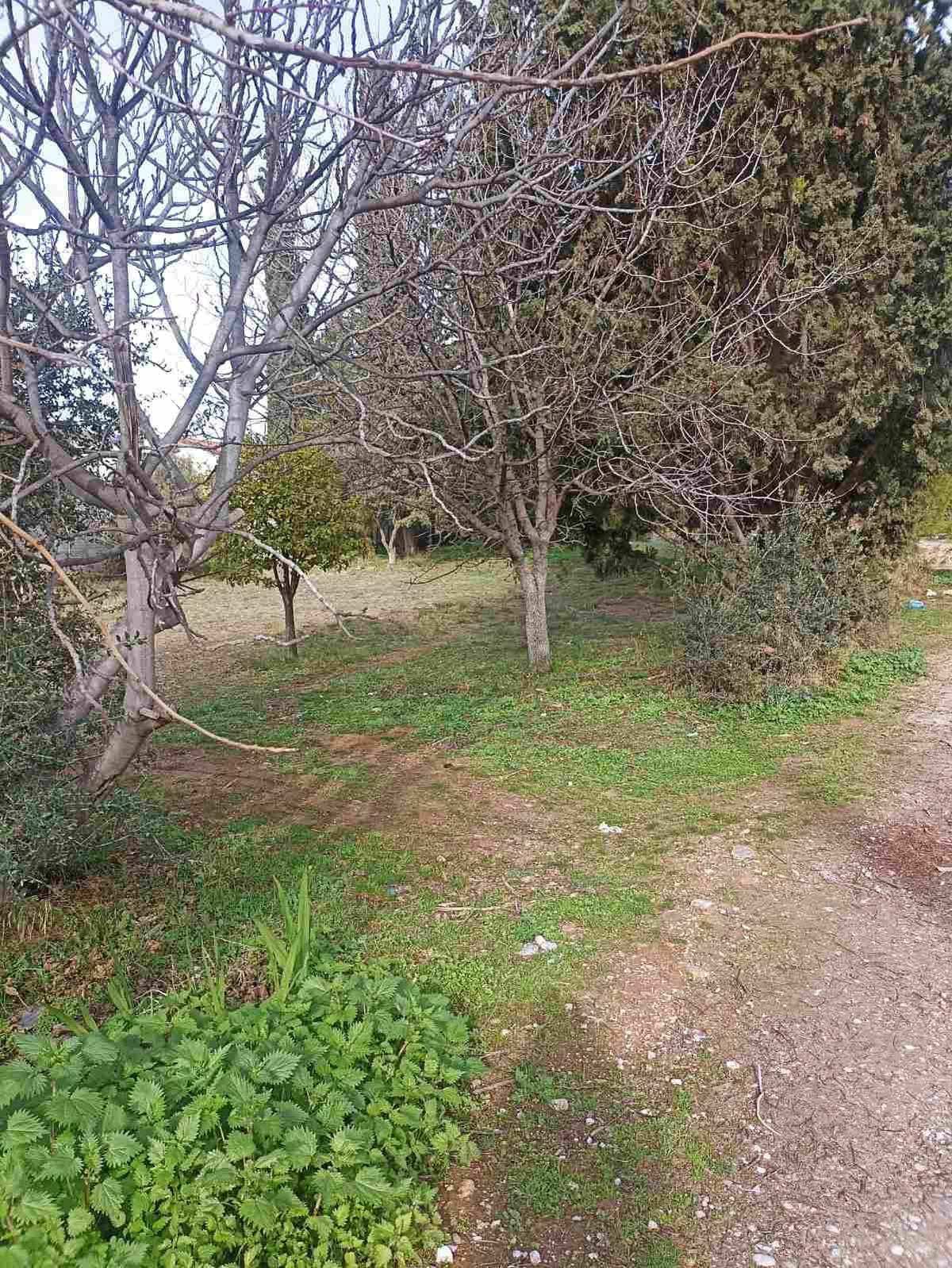 Property thumbnail 3