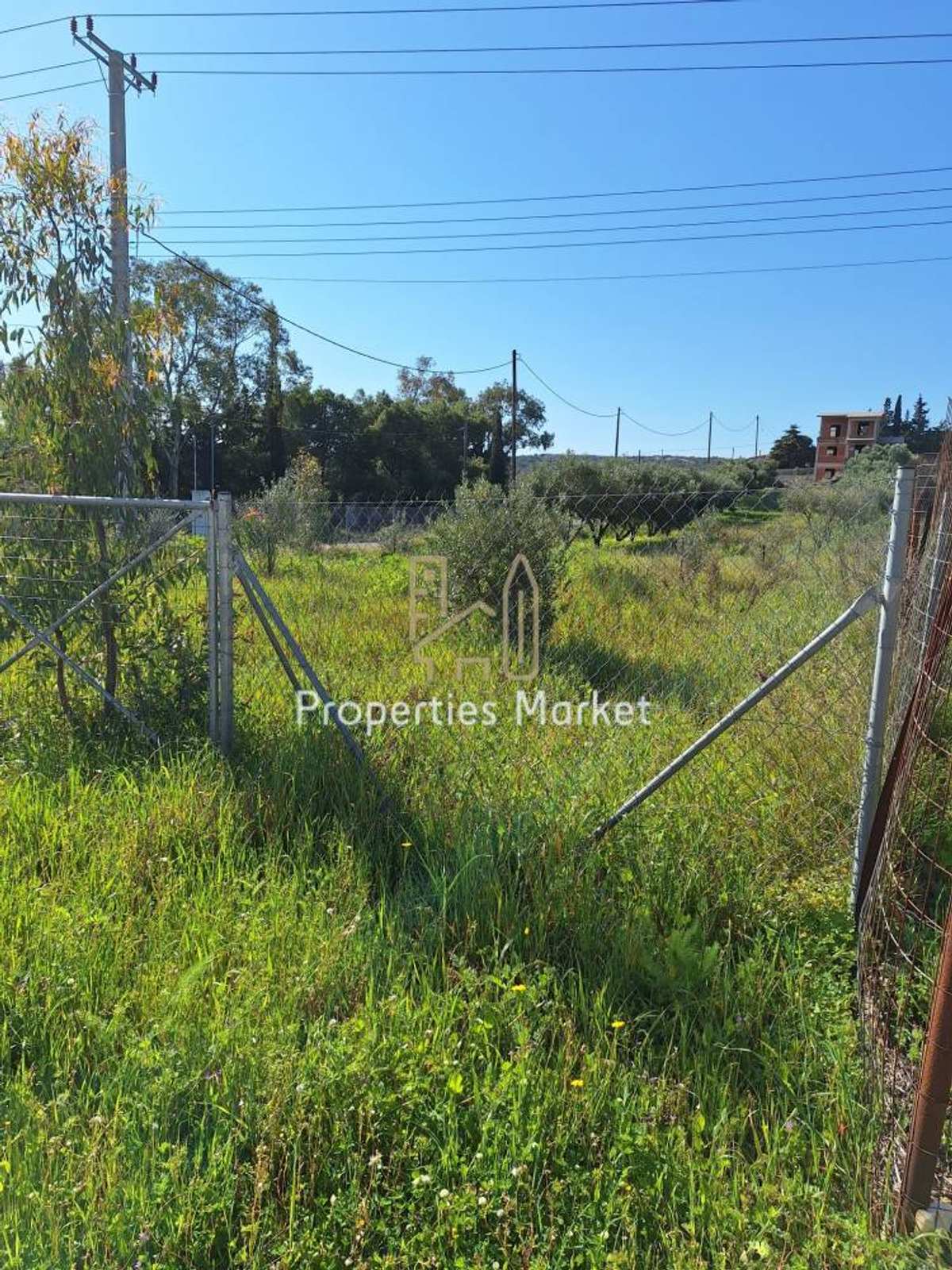 Property thumbnail 3