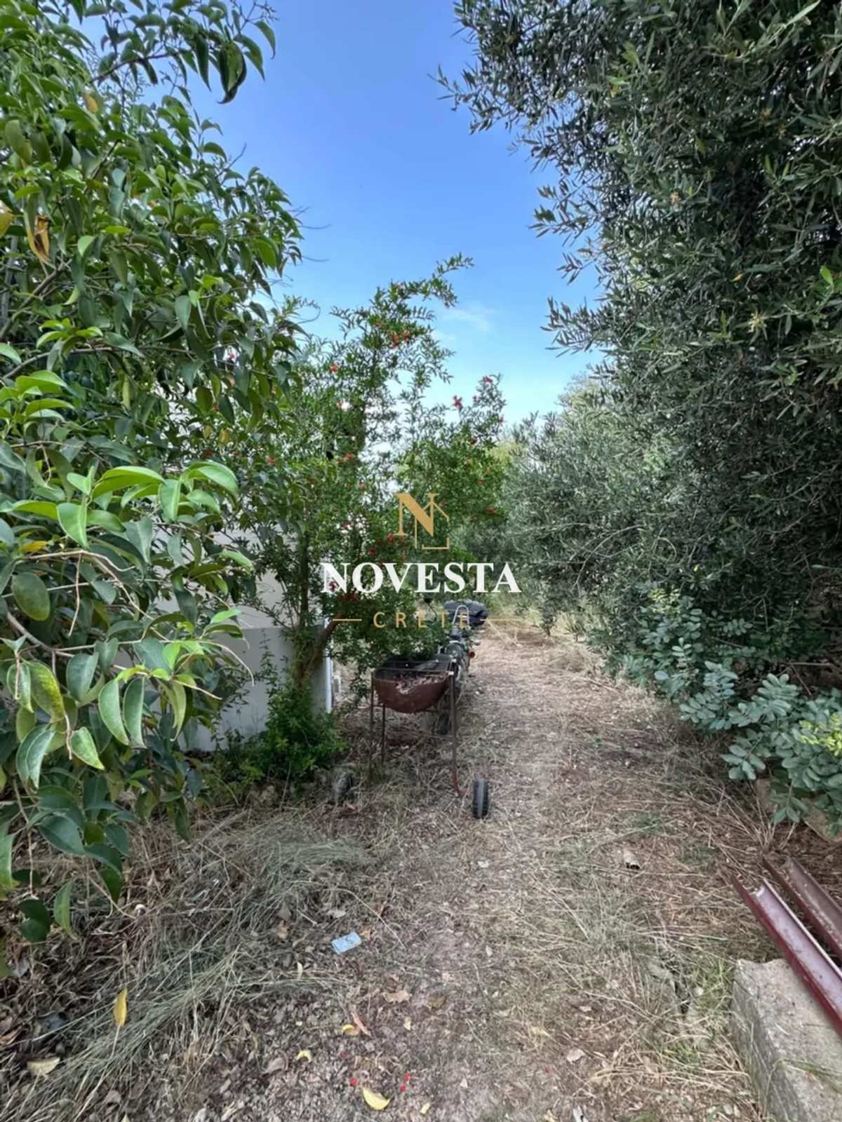 Property thumbnail 3