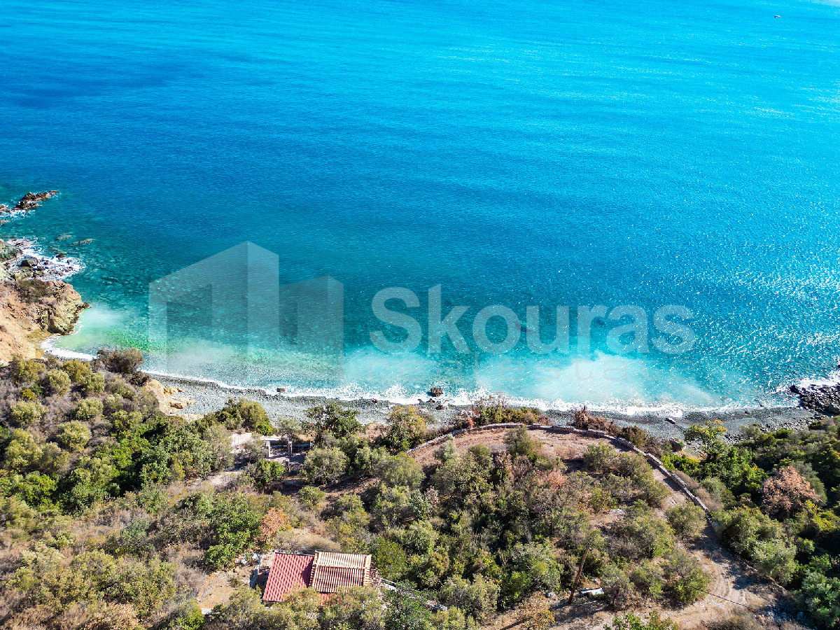 Property thumbnail 4