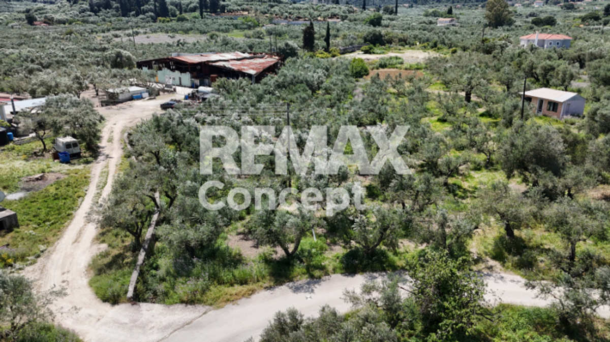 Property thumbnail 3